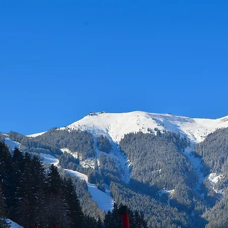 Chalet Nathalie * زيل أم سي